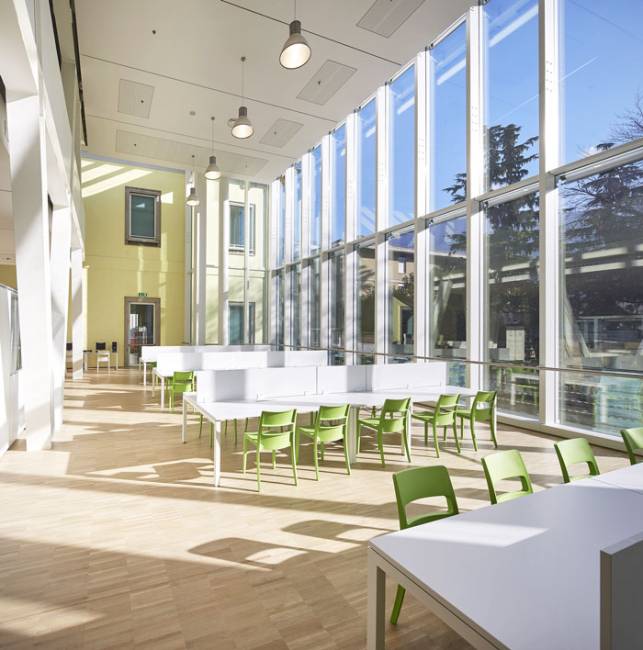 Стул пластиковый Sai зеленый 480х510х820 мм